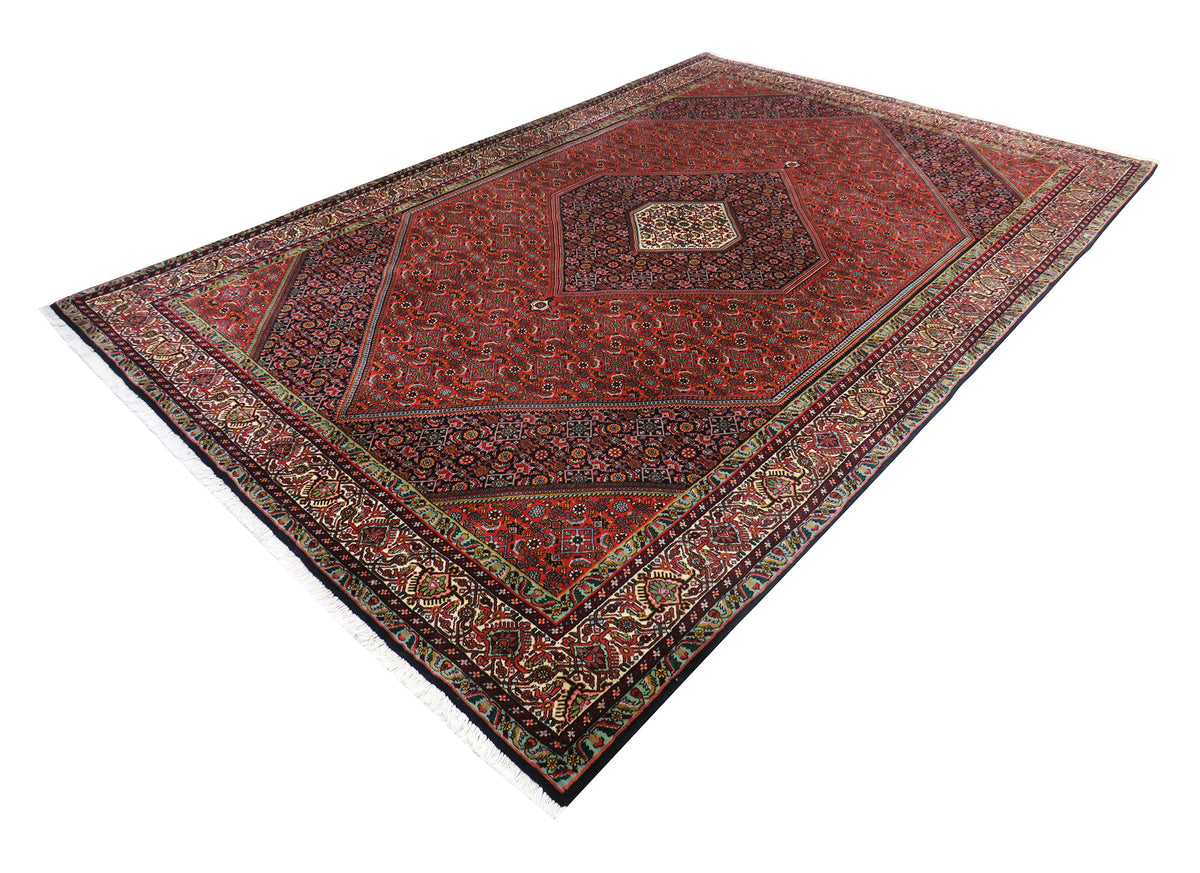Bidjar 310 x 205 cm
