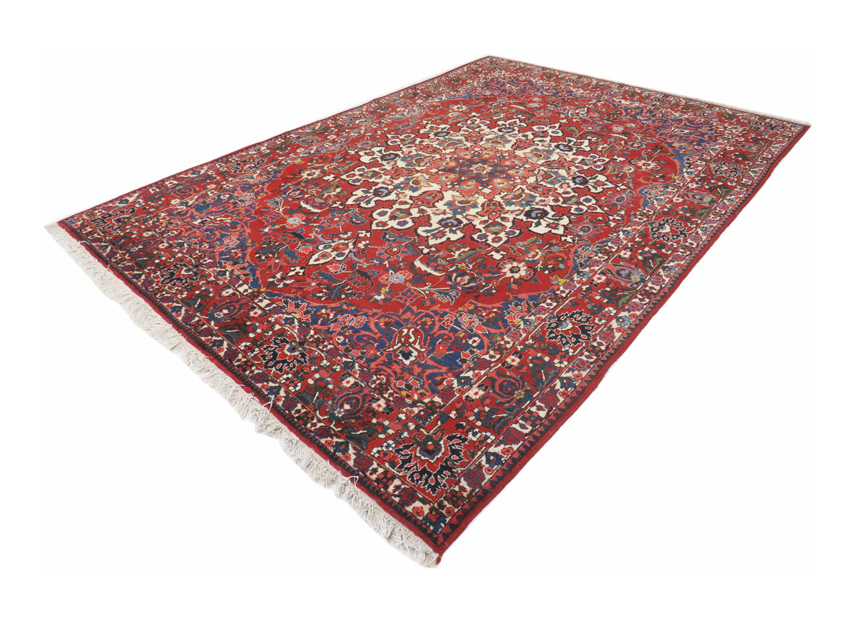 Bakhtiar Vintage 308 x 215 cm