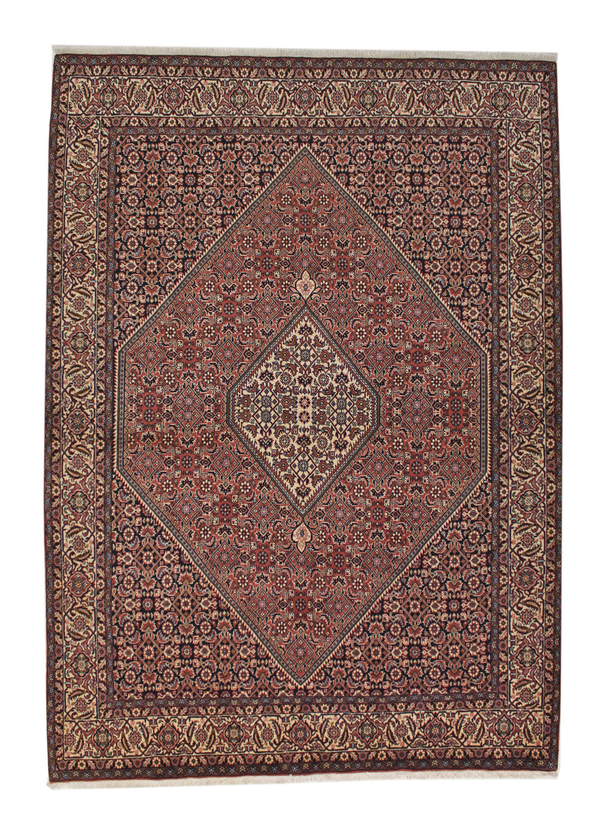 Bidjar 239 x 170 cm