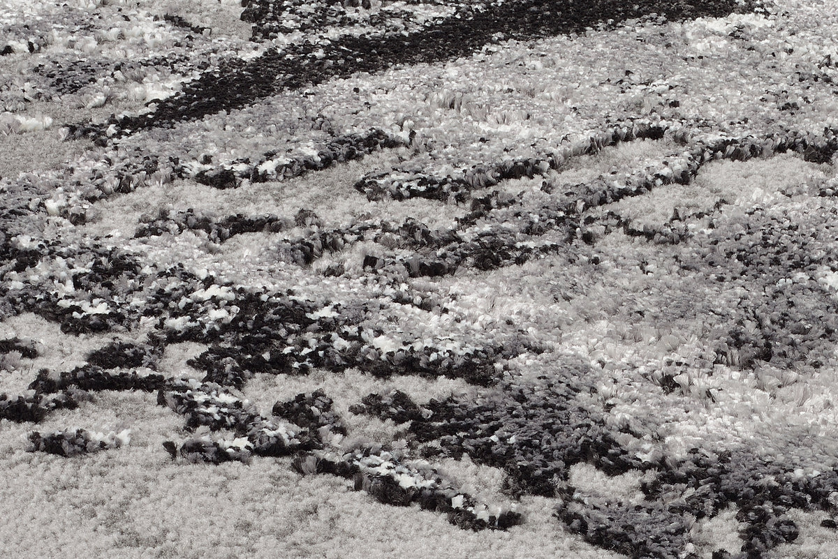 OCI Teppich JUWEL LIRAY grau-mix weicher Shaggy Hochlor Langflor Teppich